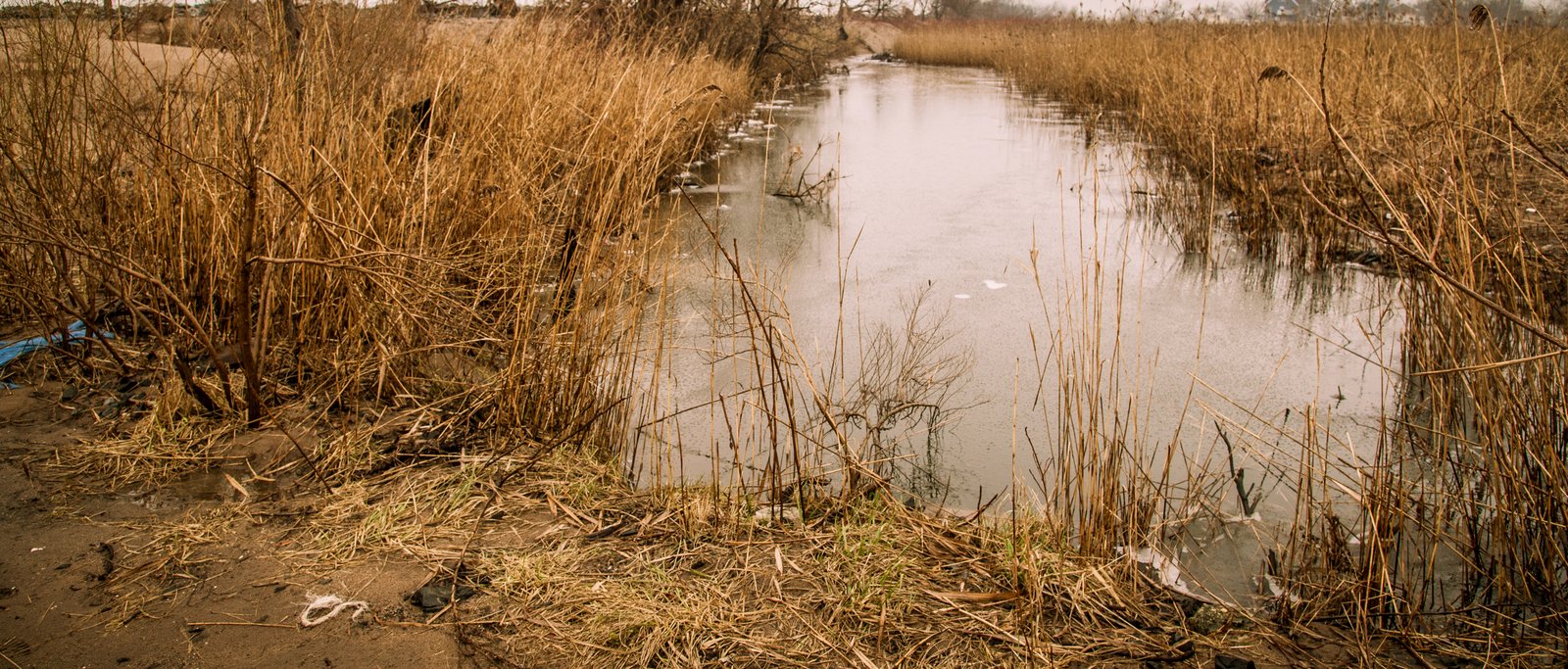 art-of-sandy-mo-staten island 2-62.jpg